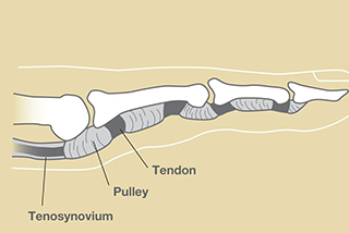 Vanessa Gabrovsky Cu  llar MD Inc | Whole Body Health  Supplements, APIC  A2M  Anti-Inflammatory Injections and Whole Body Health   Well-Being